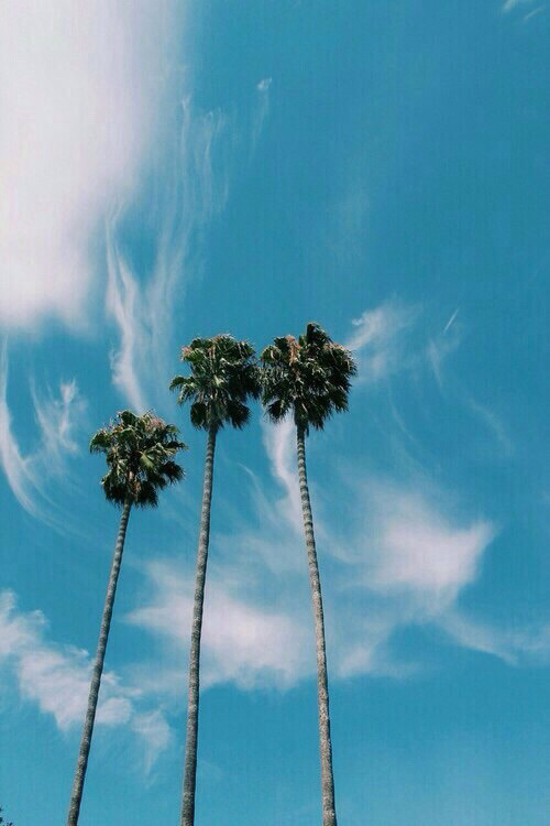 SweetDropCo's tweet photo. No more anxiety, just relaxing!
 @sweetdrop #CBD https://t.co/nlxl4eOYRH