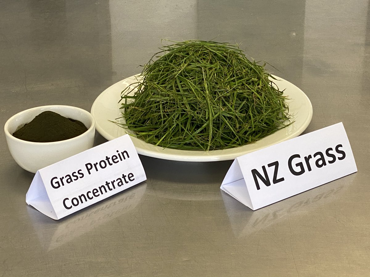 RuralDeliveryTV's tweet photo. As the world grapples with establishing a secure, sustainable &amp; nutritious food supply, NZ’s Riddet Inst scientists are developing foods that are plentiful, healthier &amp; based on resource-efficient production. 

Watch the episode this Sat at 7am on TVNZ 1. #tvnz1 #nzonair #mpi_NZ https://t.co/fvV9x4BUK5