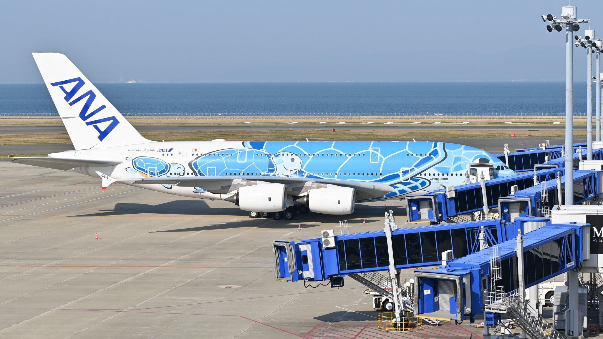 中部国際空港セントレア Anaのa380 Flying Honuはスカイデッキに出て左側 15番スポットに駐機中 セントレアでのチャーターフライト実施までこのまま駐機予定です T Co Urpeqfmai6 Twitter