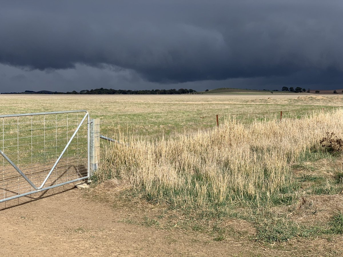 Looks like we are going to get wet