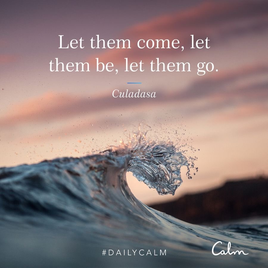 WriteTraceyLee's tweet image. Today’s pre-writing meditation was on gaining focus and being able to concentrate on what you are doing right now. If you get distracted, acknowledge it and return to your task. Don’t stress or beat yourself up. #dailycalm #meditation #creativityfocus #writingfocus #howtofocus