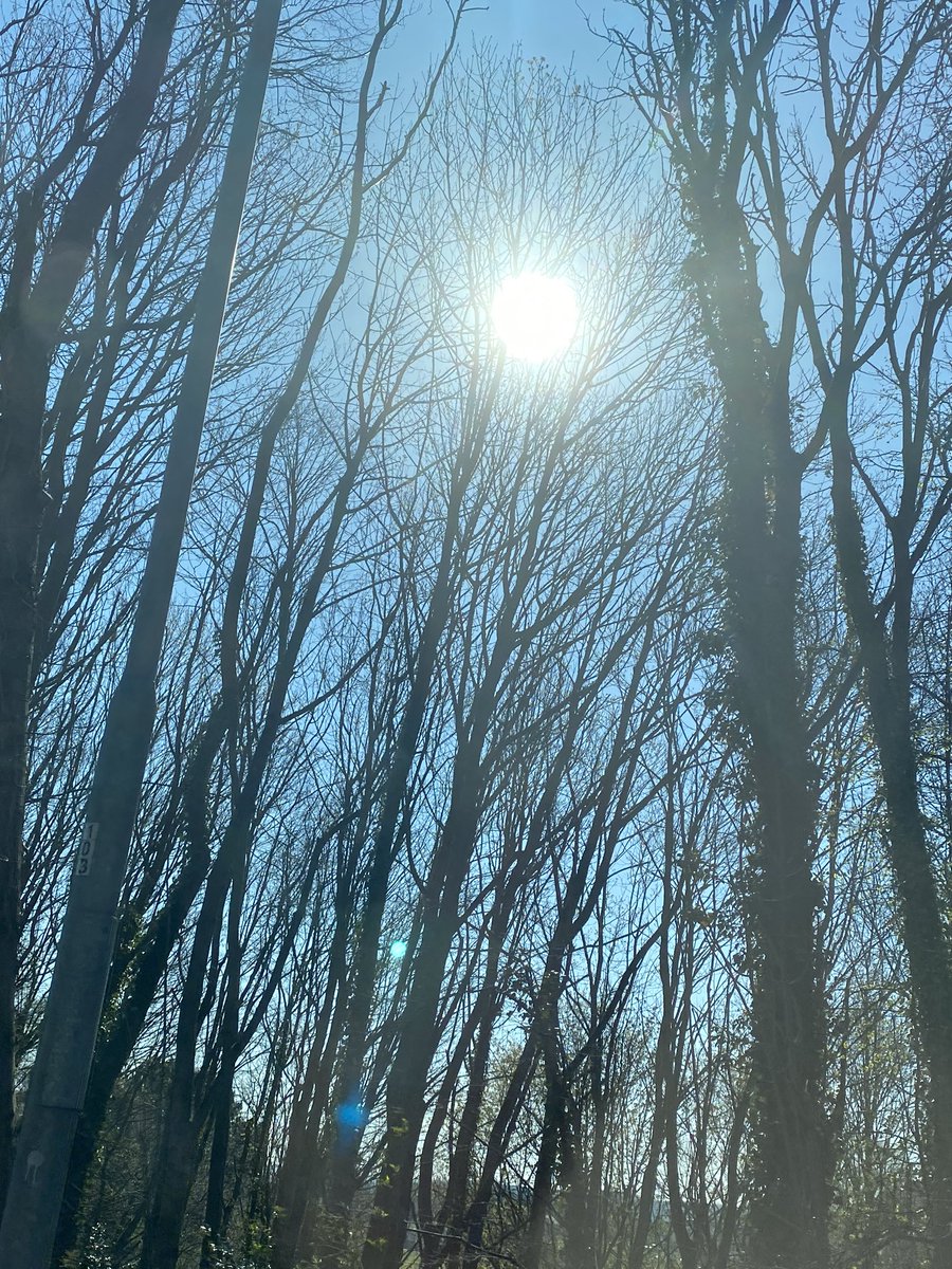 SingarStella's tweet photo. Lovely day for a ride https://t.co/2fXxosExVO