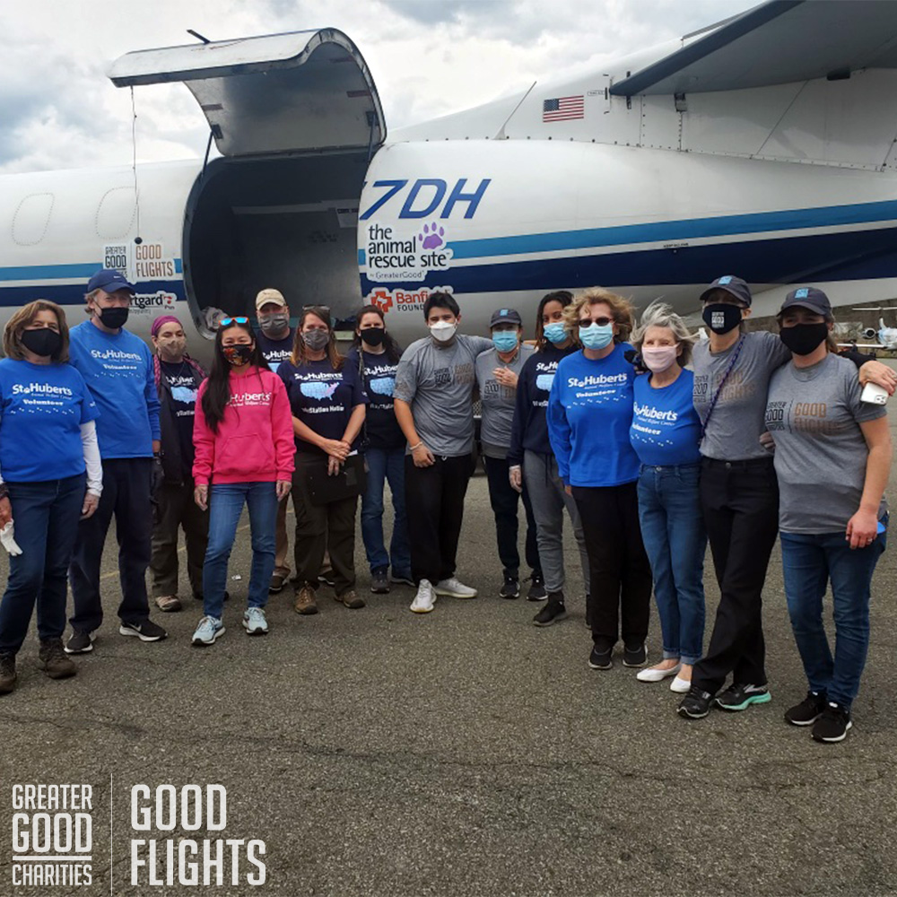 GreaterGoodorg's tweet photo. #SaveAHeart took to the sky again early this morning, transporting more shelter dogs to Florida with hopeful futures. Another thank you to @TheAnimalRescue, @BoehringerUS &amp; @BanfieldFoundation for making this mission possible. #GoodFlights #AmplifyTheGood https://t.co/csuNmYcNz3