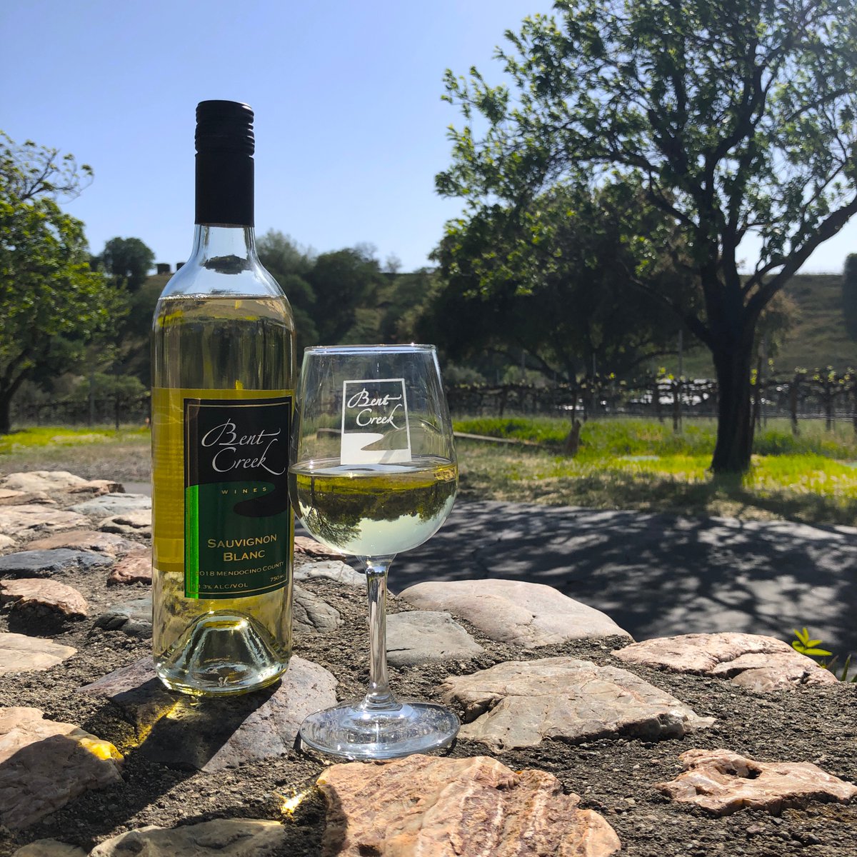 On #NationalGarlicDay we're celebrating the umami-rich pungency of this all-time fave. Our 2018 #SauvignonBlanc provides the perfect acidity and balanced citrus notes to enhance any garlicky food. Enjoy!
#betterwithbentcreek #garlic #livermorevalley #lvwinecountry #visittrivalley