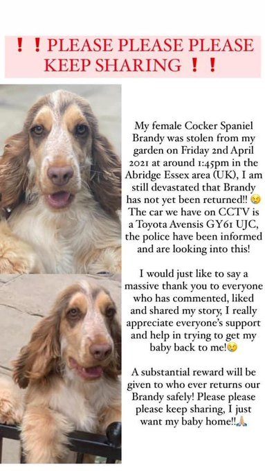 gelert01's tweet photo. Thieving toe rags stole #FindBrandy they took her frm her gdn 02/04/2021 #Abridge #NewFarmDrive #RM4 Used this car. Have you seen it? CCTV shows a TOYOTA AVENSIS GY61 UJC https://t.co/ToQiAy0Y6S