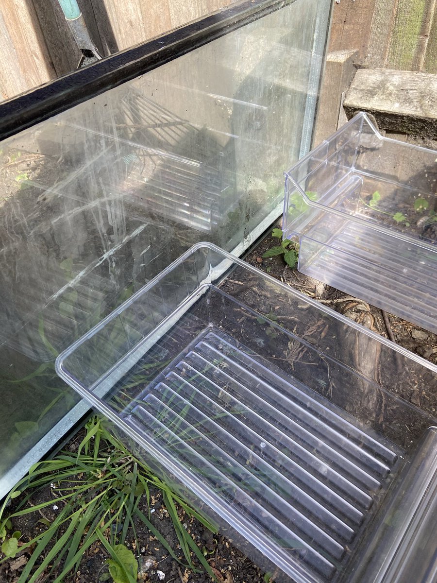 wild_lifeguide's tweet image. Had a go at repurposing some old freezer drawers and windows for a DIY cold frame after filling my ‘proper’ one to the brim 🌱

@GardensHour #GardensHour #Gardening #Coldframe #DIY #Reuse #Recycle