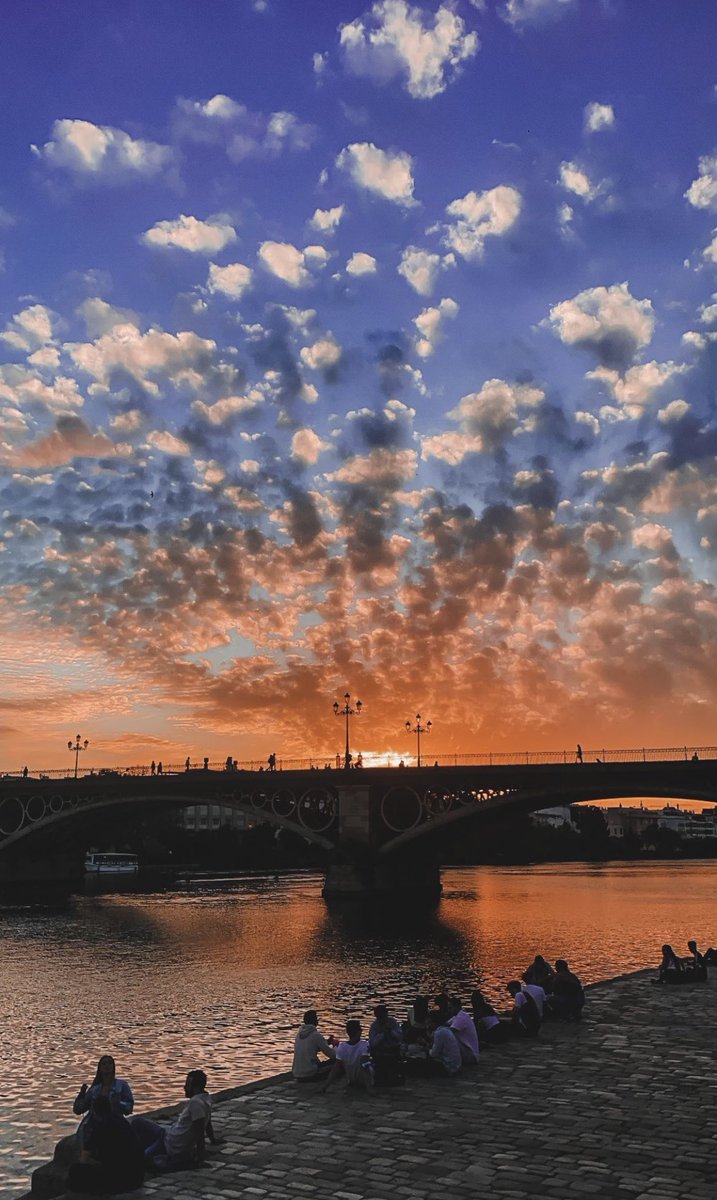 Javier Fuentes tweet media