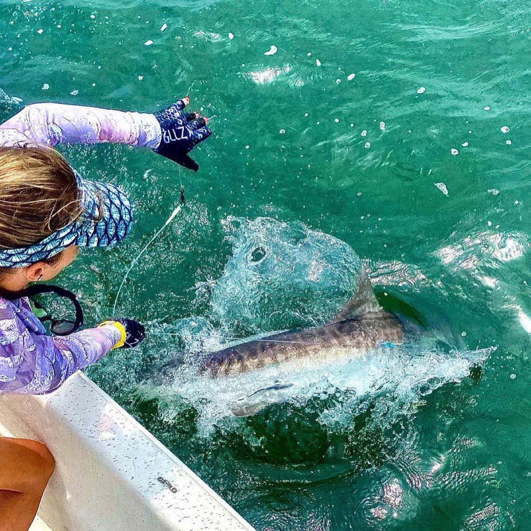 Viciousfishing's tweet photo. Now that must have been a battle! Our 65lb braid held up perfectly matched up with a heavy duty leader! #shark #fishing #sharkfishing #tigershark #viciousbraid #fishingline #braidedline #viciousfishing #viciousfishingline #getvicious https://t.co/XJe6PmAtJQ