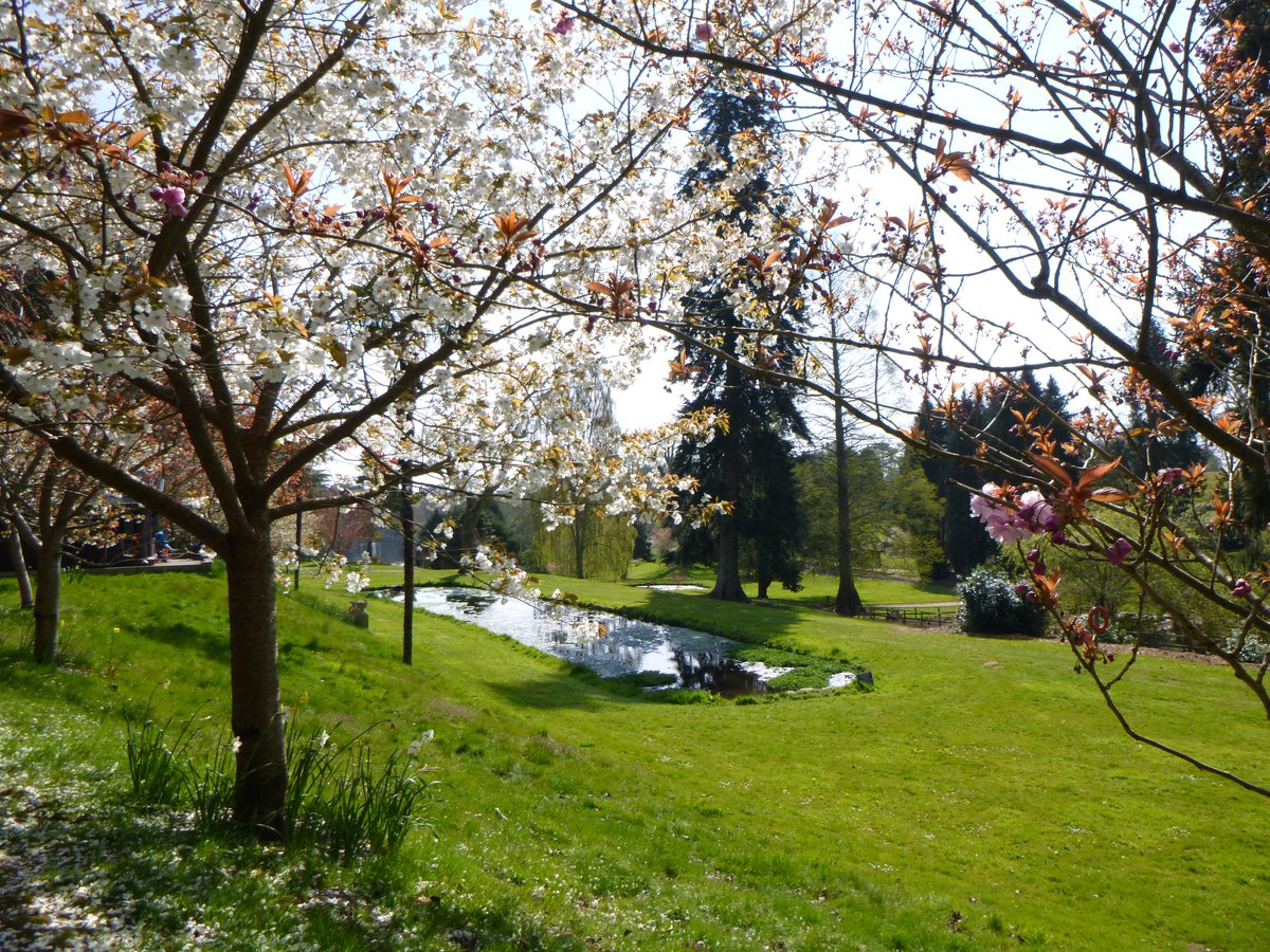 tritchayne's tweet photo. For anyone with a love of gardens or with young children, Bicton is a brilliant day out. Beautiful gardens, amazing play areas and don't forget the Bicton Woodland Railway. It’s less than 30 mins’ drive from Tritchayne Farm Cottages and you can pay with Tesco clubcard vouchers! https://t.co/4OuItFcOjs