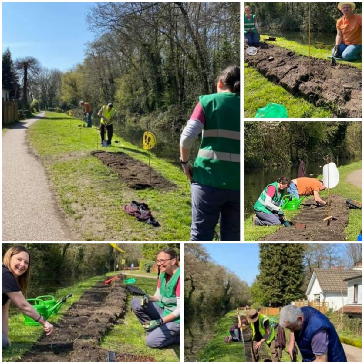 What a glorious 1st day for the Pont-t-ddol planting project. The sun was shining and the birds were singing. Thank you to all the volunteers who gave their time today. It was great to work with you. @CanalRiverTrust @peakcymru @nature_cic #communityplanting #wildflowers #happy