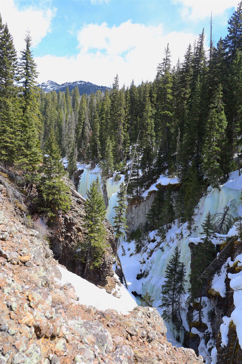 I've tried for years to get a descent photo of the ice in Icebox Canyon. Today I climbed over thickets of last years dried thorns, down an icy cliff, over a few questionably secure downed trees and as far as I dare onto the volcanic tuff.