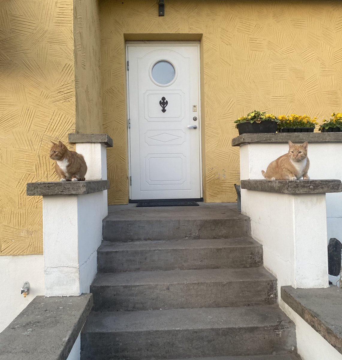 @viktorklang.com tweet media