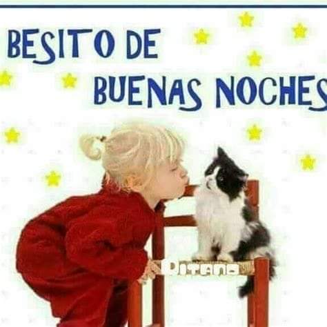 SecretosdeMadrid on Twitter: SecretosdeMadrid on Twitter: