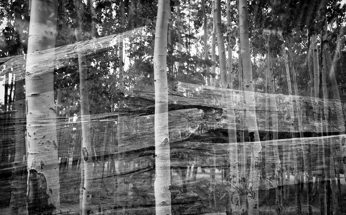 NicoleRoyseArt's tweet photo. “18 47 : Estival Solstice” by #peterbrianklein 📸🎞 This stunning piece is a double exposure Kodak Endura, 45”x30”, 2021, Available $1500 and featured in his new solo exhibition “Reverence of Place & Time" at @RoyseContemp 🎨 For more visit https://t.co/Tk2hXRSeZ7 https://t.co/3OEFUk0mJk