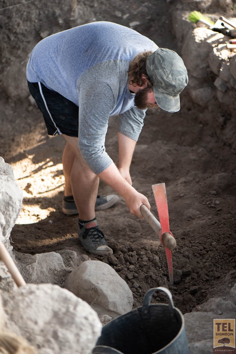 TelShimron's tweet photo. Excavation in 2017. #Israel #archaeology #FieldExcavation #JoinUs2021 https://t.co/qfolGdVZTt