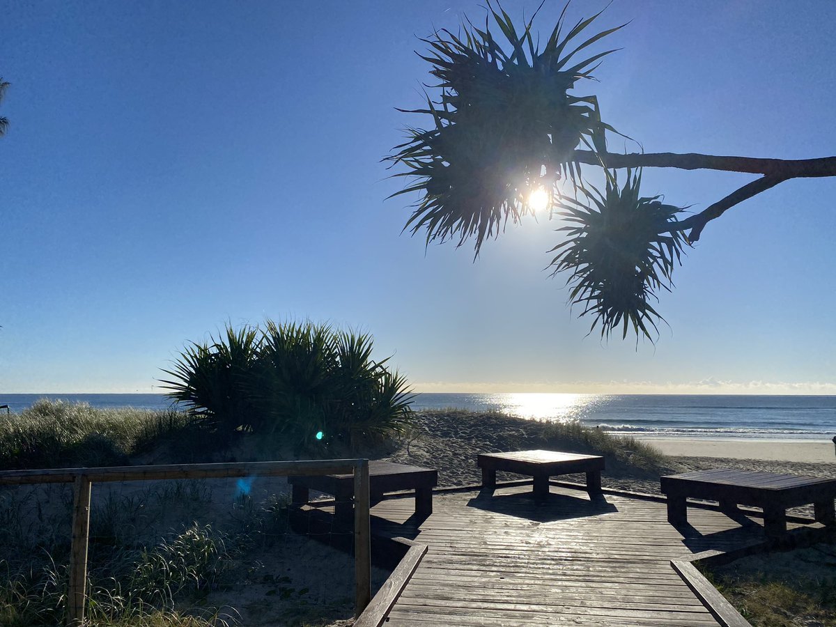 Perks of attending this years VIRTUAL #AusPainSoc conference - time for this in the morning! #currumbin