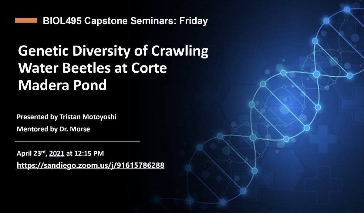 USDBiology's tweet photo. Come and see these 4 capstone seminars Friday April 23rd! All details in flyers. https://t.co/vYxPudlZ55
