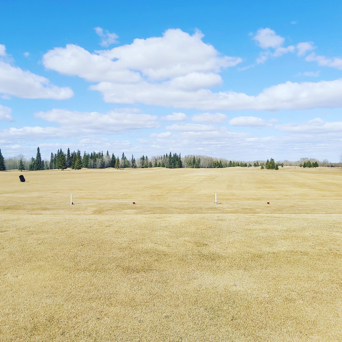 Westlock Golf Club tweet media