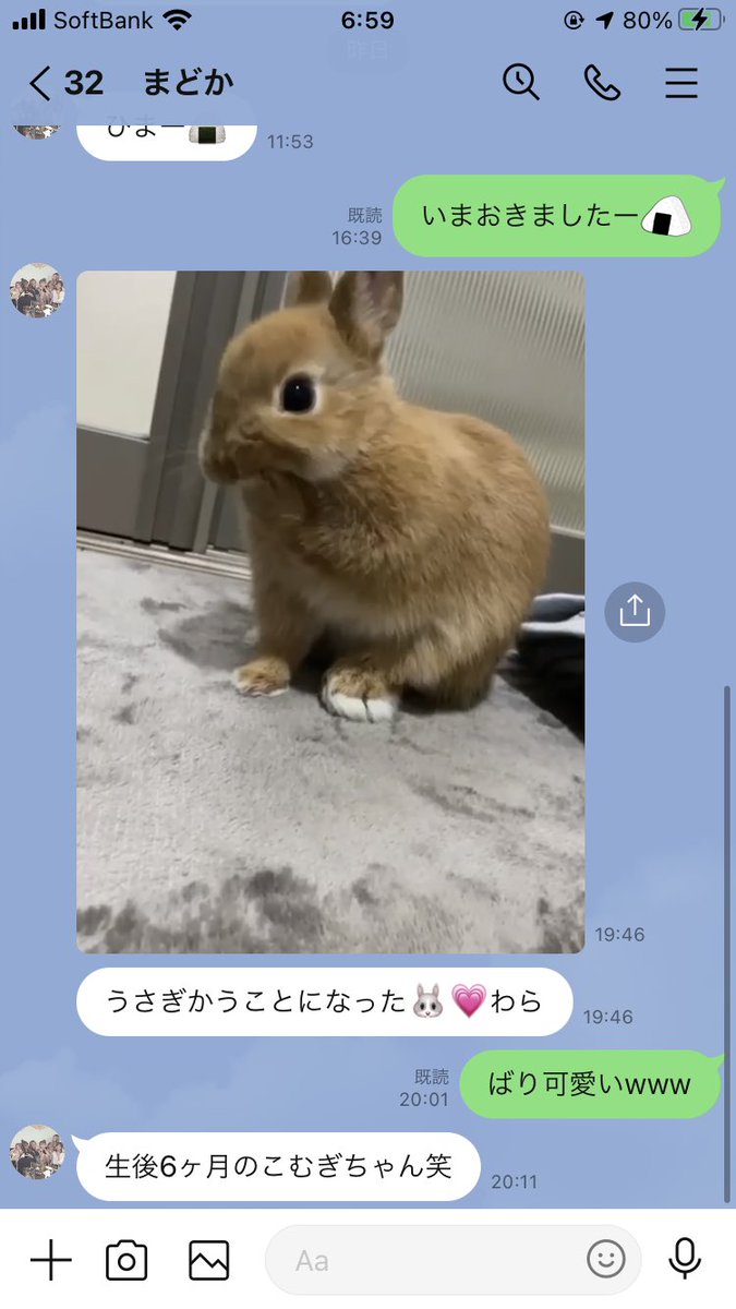makoariyosi0518's tweet photo. 朗報。
おまど遂にうさぎ飼った https://t.co/86yHnSmIzx