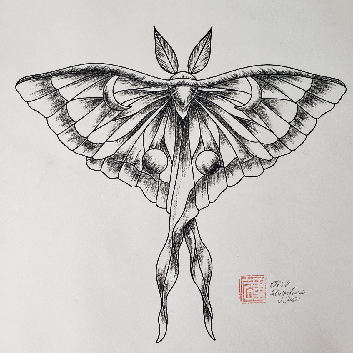 Luna Moth Tattoo Drawing Geometry PNG 500x726px Luna Moth Actias Art  Artwork Black And White Download