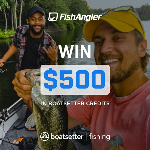 boatsetterfish's tweet photo. Where would you fish if you won $500 to rent a boat or book a charter?
April giveaway from @boatsetter x @FishAnglerApp
#fishing #sportfishing #bassfishing #boatsetter #fishangler https://t.co/YTw2fyljNv