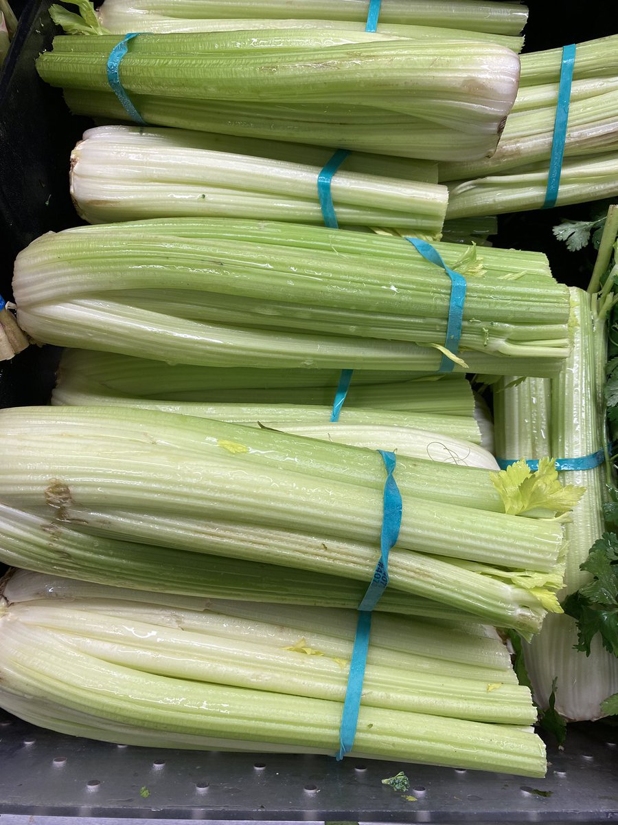 kcollazo's tweet image. Ok grocery store, how are my 3rd grade botanists going to carry out the best celery stem experiment when you don’t stock food coloring and you do THIS to your celery???😡 #STEMProblems