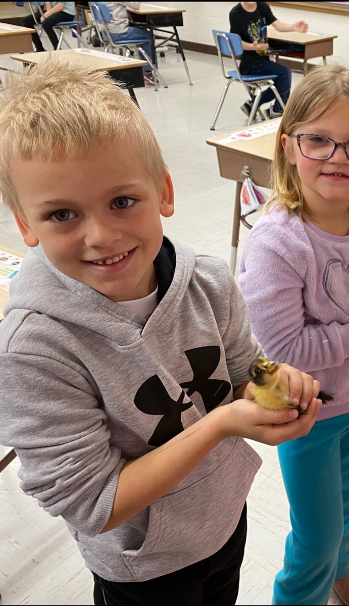CrystalH_1st's tweet photo. It was an exciting day in first grade! Our ducklings and chicks FINALLY hatched! I love that the duckling in the last pic is smiling too! https://t.co/TNTz8s8Ltt