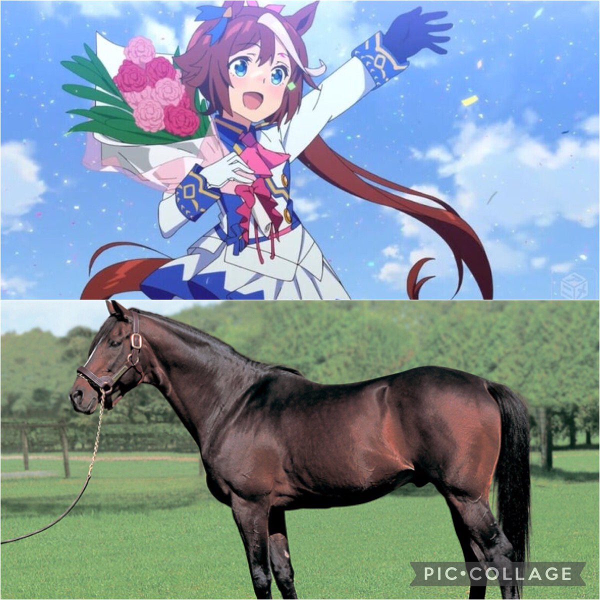 天才はいる悔しいが 天才はいる悔しいが