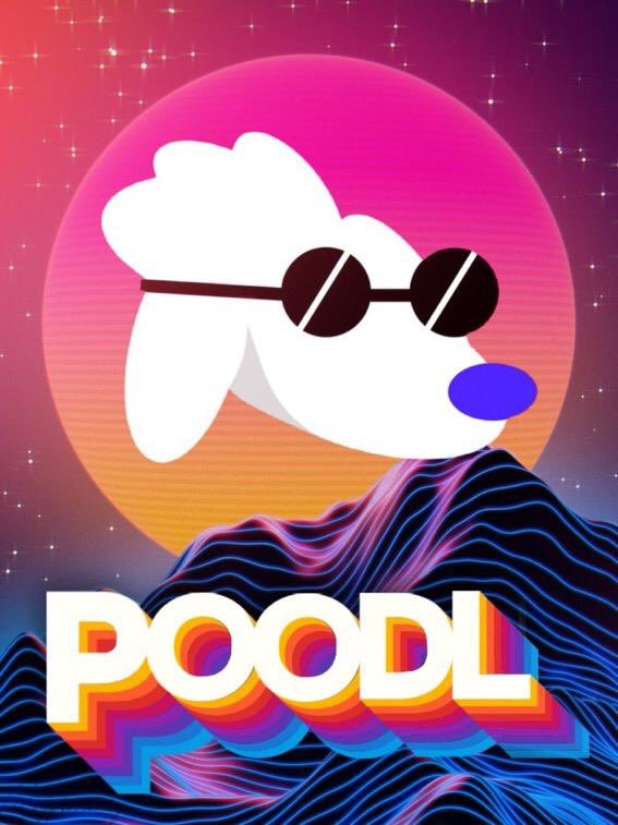 AlphaGOGs's tweet photo. #POODL #POODLDAY #hodlthepoodl https://t.co/5uNrjOpe5g