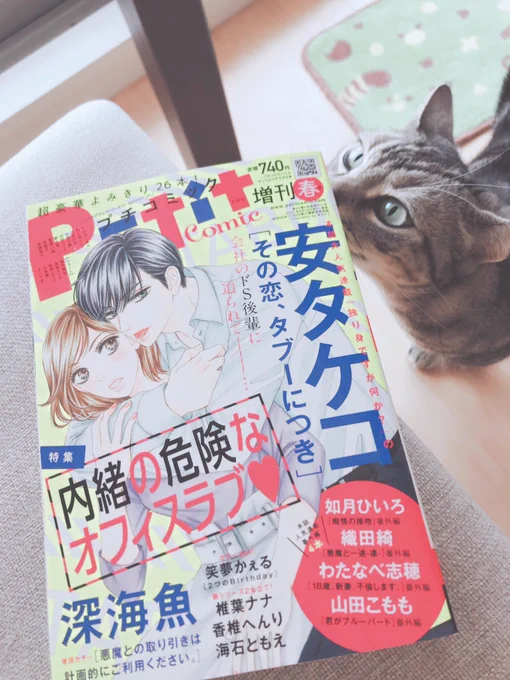 ?‍⬛お知らせ?
只今発売中のプチコミック増刊春号に「にゃんDK」掲載して頂いてます!今回はネコ飼いさんなら共感して頂けるかなというご飯事情を描いてみました??よろしくお願いします✨ 