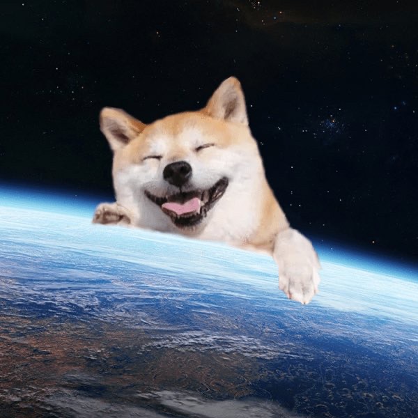 #dogeday is breaking the internet tomorrow. 

Retweet if you’re here for it