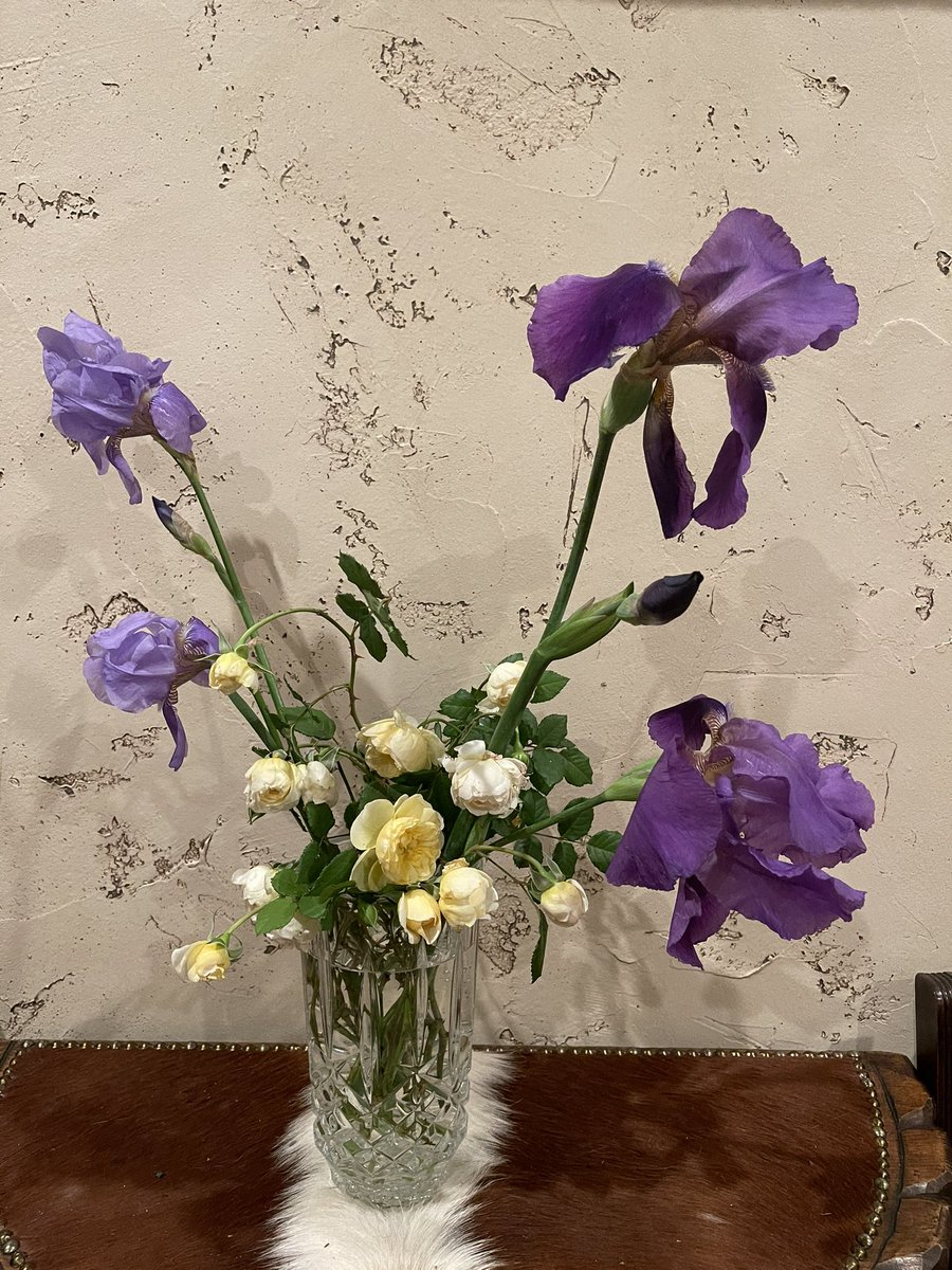 Uzivatel Lucia Choo Fight For Trump Na Twitteru 后院的花前几天下了offer 卖家那边屁都不放一个 拽的要死 我的agent告诉我 奥斯汀现在一套房加万才能抢到 她说有一套房125万 得手的人加了100万 硅谷那些混蛋们把这里的规矩都玩坏了