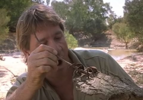 Image in tweet by Robot James 🤖🏖