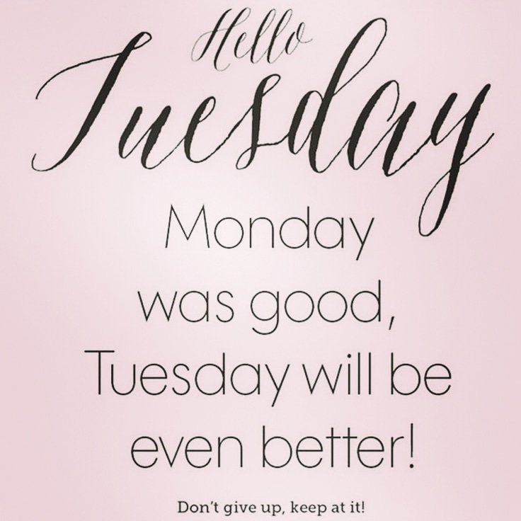 Catherine Allen (@allen1984c) on Twitter photo 