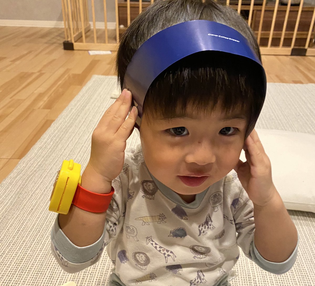 寝落ちしてそのまま9時間寝続けるより、夜少し遅めに寝た方が朝スッキリ起きれる説

(近未来りつまる)