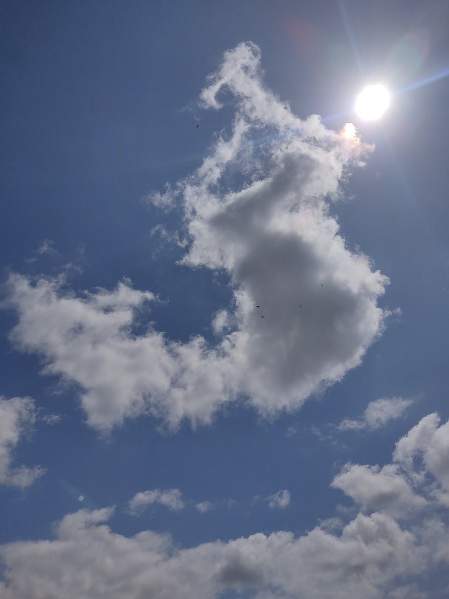 ParrayMudasir's tweet photo. The Sun challenges us to Shine, 
The Clouds remind us to Move, 
The birds tell us we too can Fly
And the Sky tells us
that there is no limit
to our Dreams and Goals. https://t.co/9JfV3SU3YP
