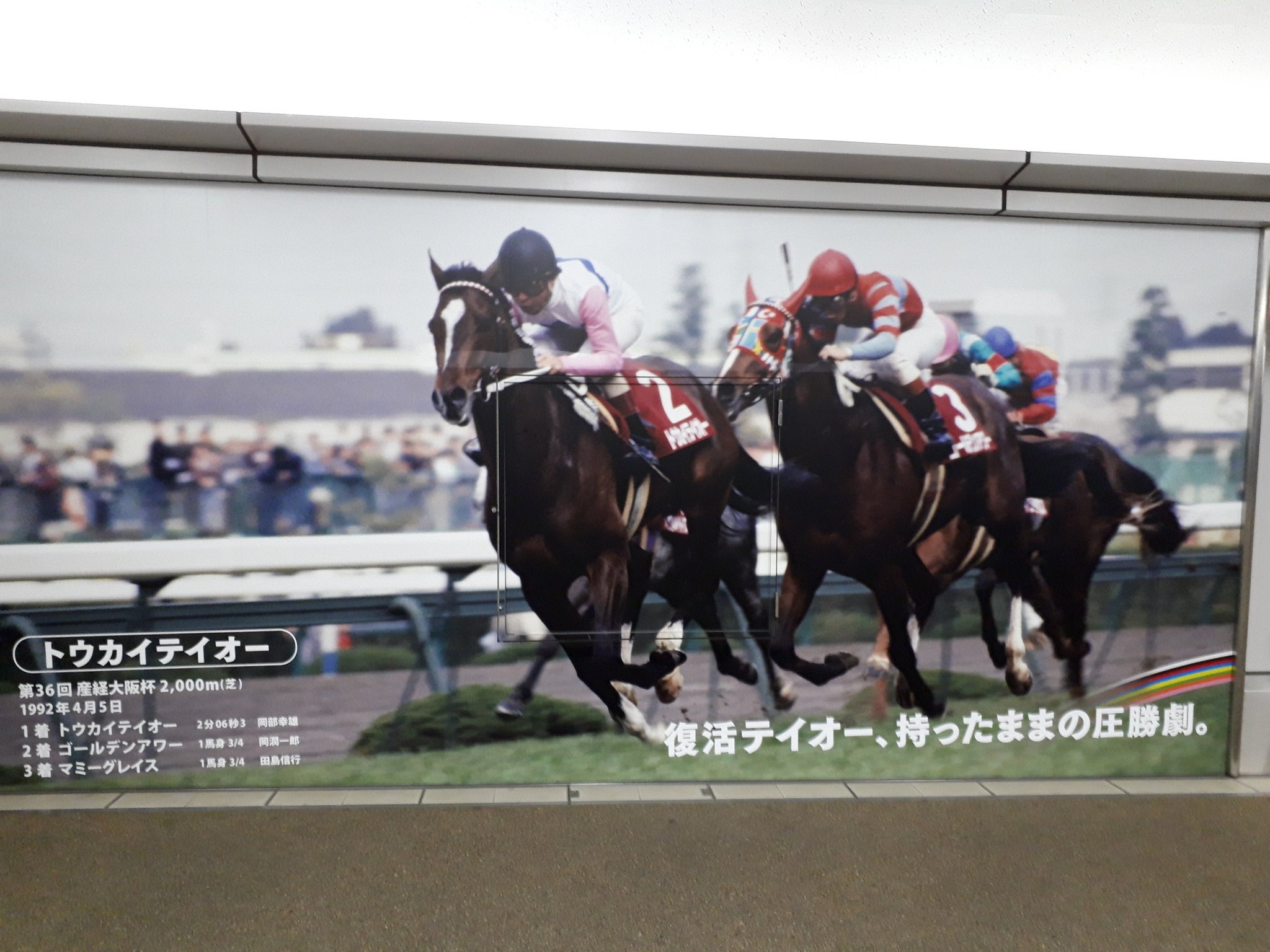 1992年トウカイテイオー・産経大阪杯・的中単勝馬券 トウカイテイオー 1992年 産経大阪杯 的中馬券 1着 (産經大阪杯/単勝/