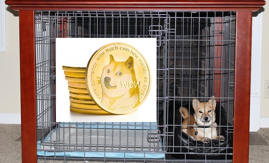 ModernPuppies's tweet photo. #DOGEDAY tomorrow! Will the #DOGEARMY be correct with their prediction?

Yuri the Shiba Inu enjoying his $DOGE inside his Potty Training Puppy Apartment!

Over 100,000 dogs potty trained!

Click here to watch our world-famous potty training video: https://t.co/hegzOMutax https://t.co/k21PQswwIn