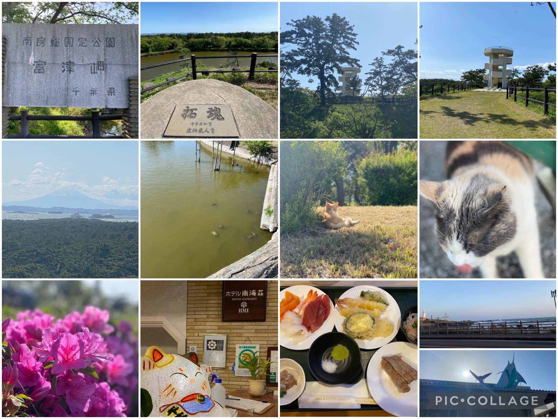清永 幸美 千葉 富津 富津公園 富士山 カイトサーフィン 海鮮食べ放題 ホテル南海荘 T Co 5crkbwvrik Twitter