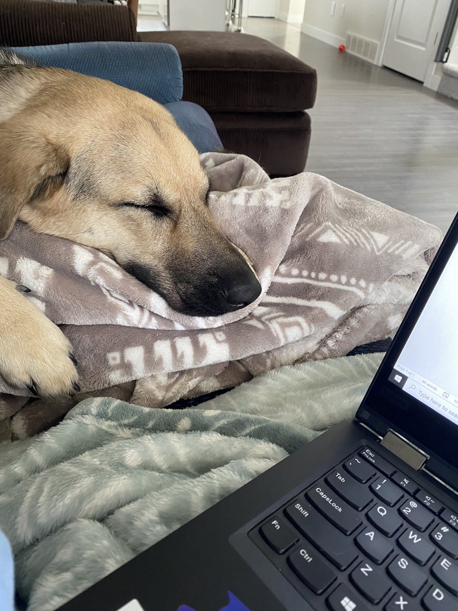 My teaching assistant worked very hard this morning. 😂