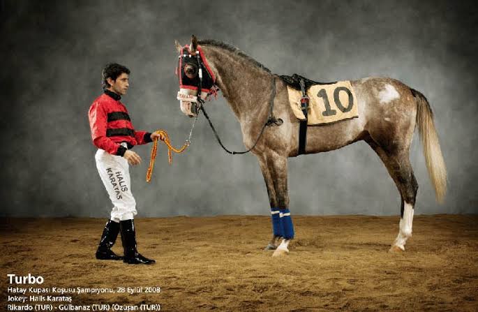 Bir efsane daha aramızdan ayrıldı yarisseverlerin kalbinde daima yaşayacaksın #turbo