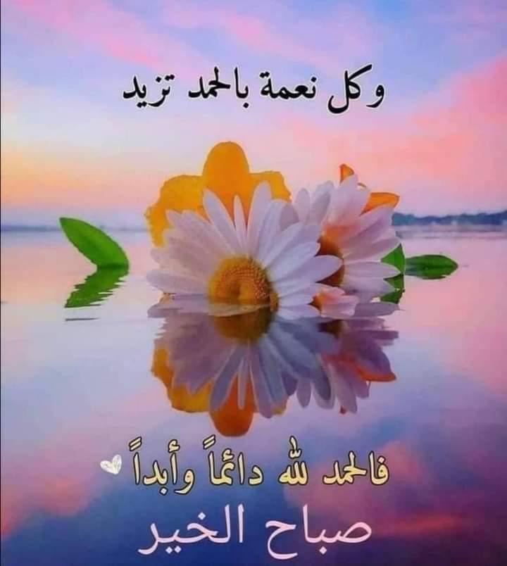 🇮🇶مصطفى🇮🇶 (@lqho8kdb86) on Twitter photo 