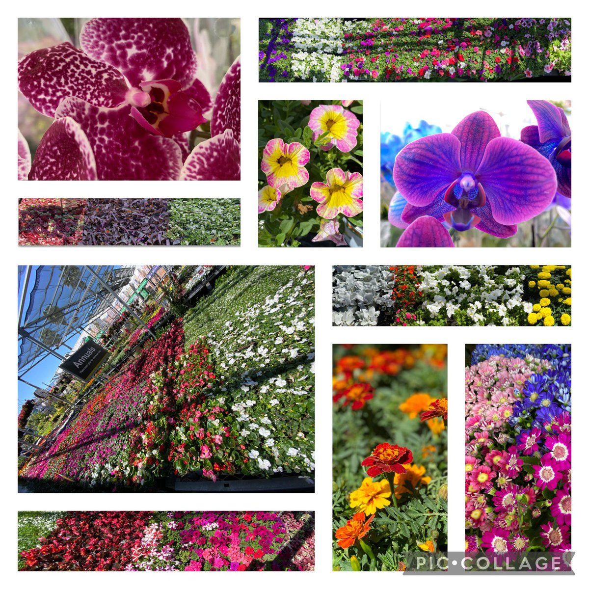 6646 ready for another great week in live good sales! 🌺🌸🌷