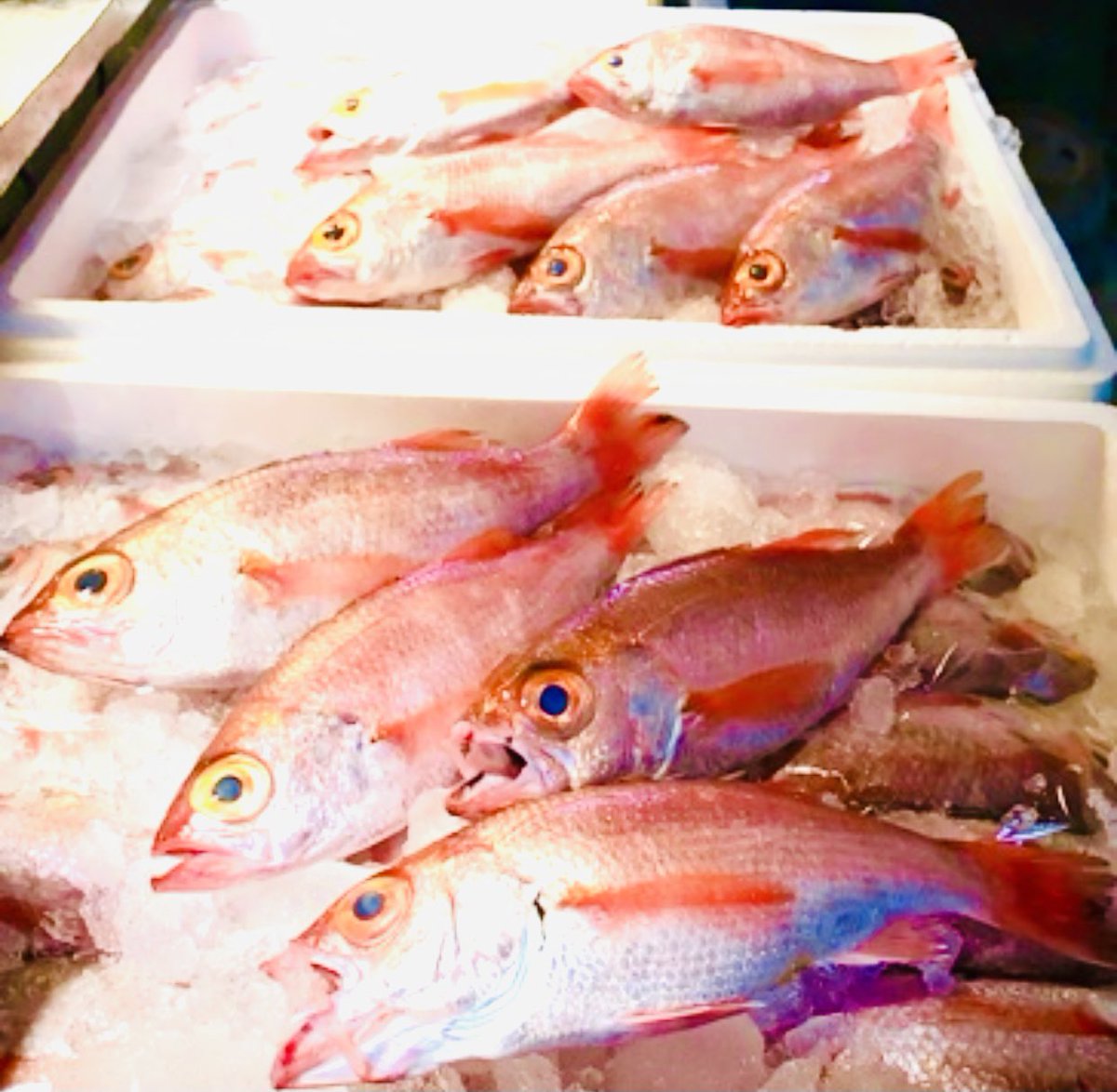 みんなの みのりや 炭火焼き 口コミ 評判 食べたいランチ 夜ごはんがきっと見つかる ナウティスイーツ