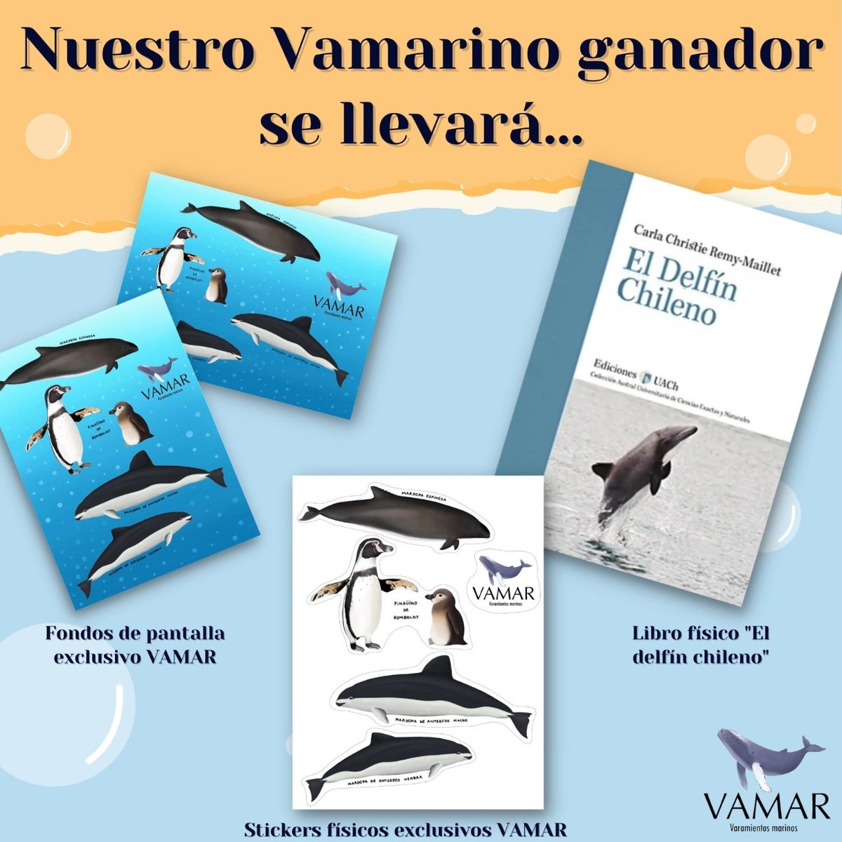 ¡Les tenemos está tremenda sorpresa para empezar la semana!
Para celebrar nuestra primera semana temática y el gran apoyo que hemos recibido en especial en Instagram🐋
Elegiremos a un vamarino esta semana, el cual se llevará 2 fondos de pantalla exclusivos VAMAR
