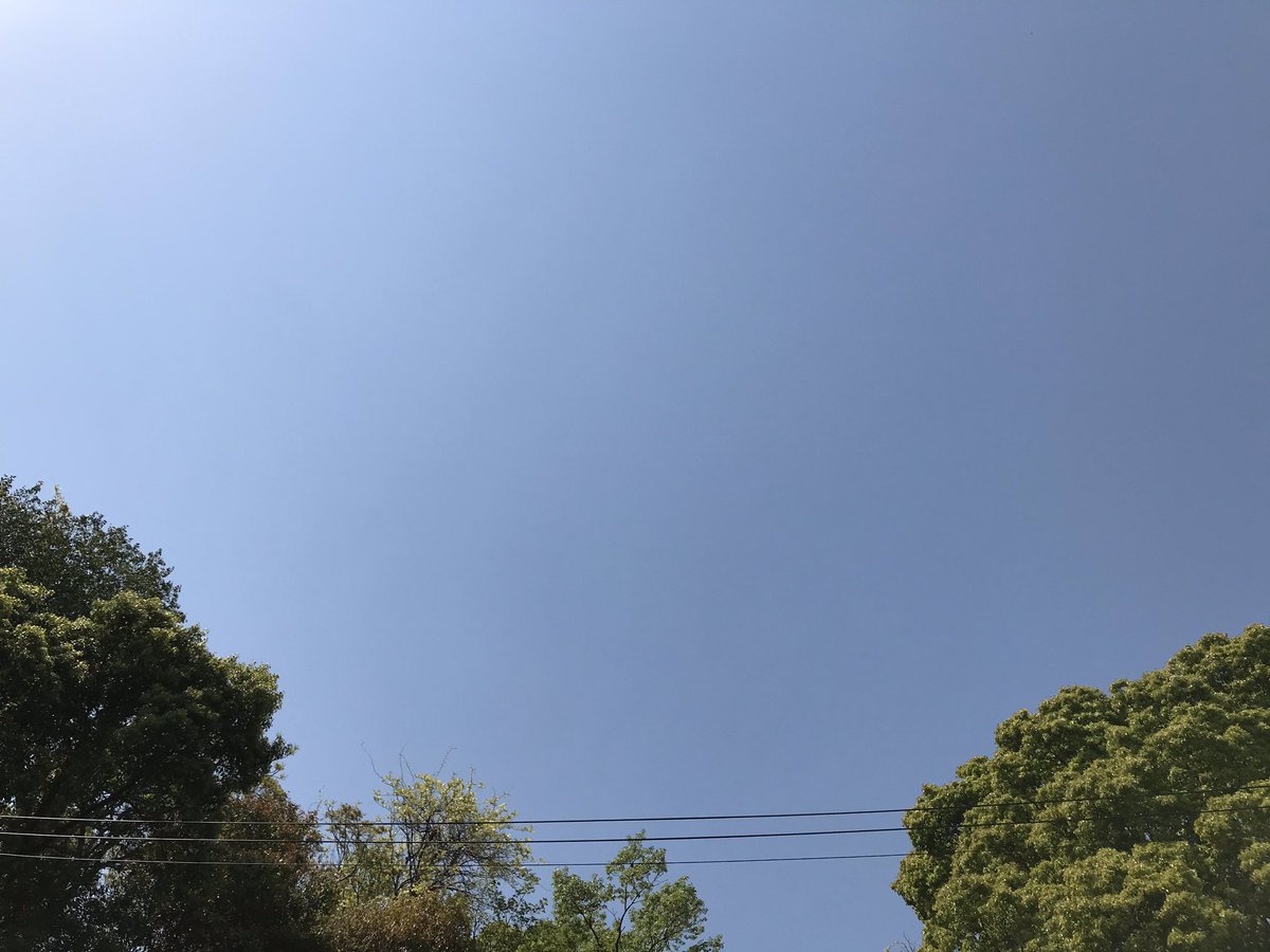 雲ひとつない青空です✨