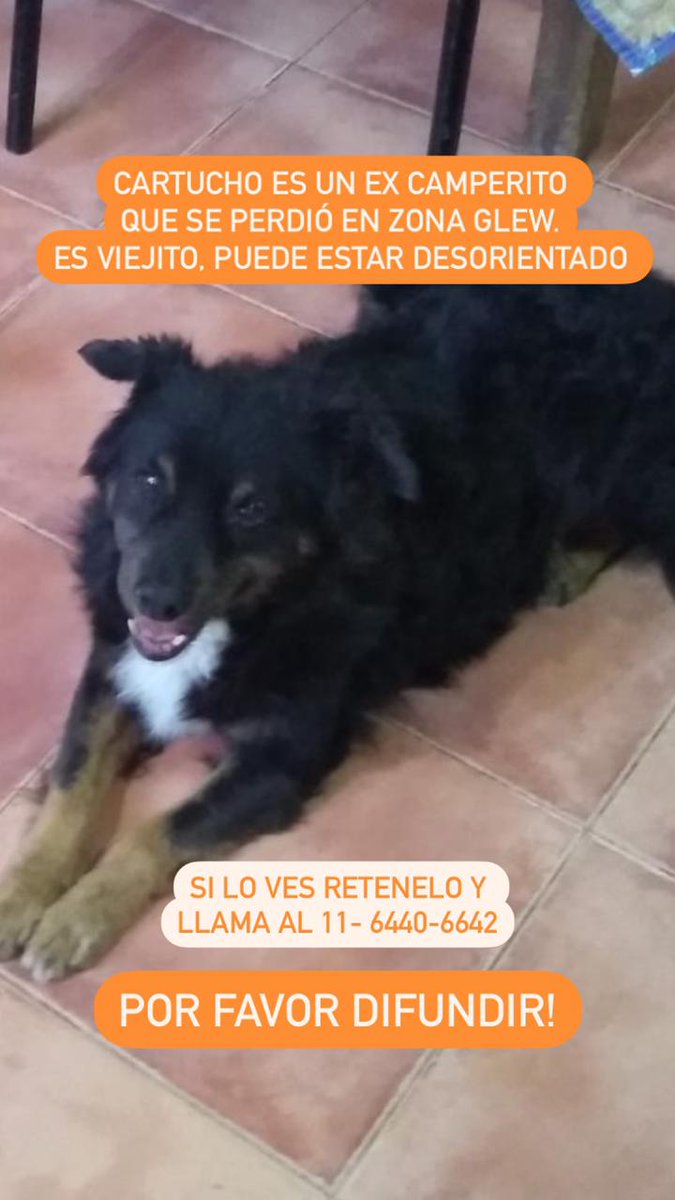 elcampito's tweet photo. Amigos, nos dan una mano?
⚠️ SE PERDIÓ CARTUCHO!!!
Zona Glew, GBA
.
Si lo ves retenelo y llama al teléfono de la foto!🙏🙏 https://t.co/mVJR4XO6Af
