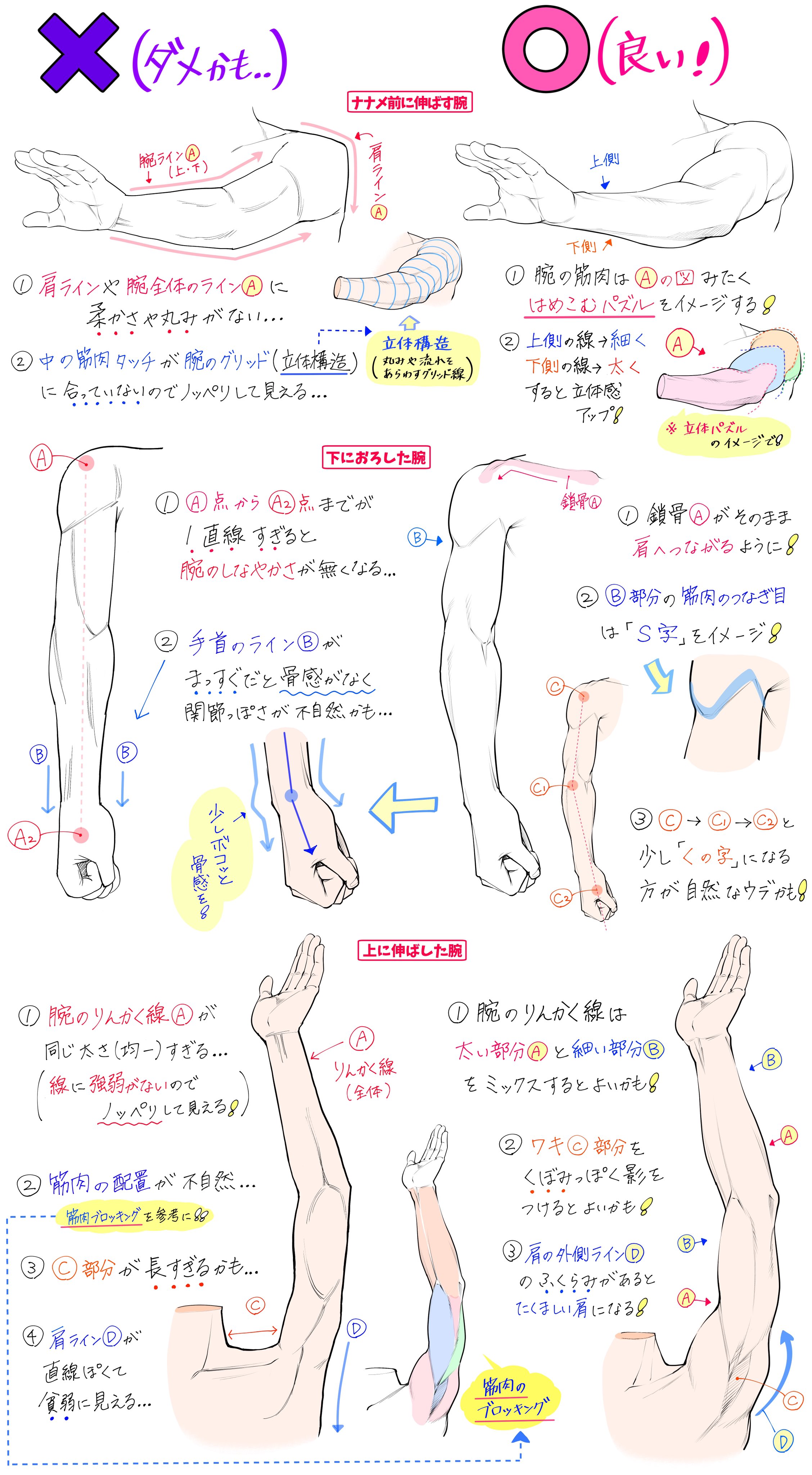 吉村拓也 イラスト講座 男性の腕の筋肉 を練習しまくる図解 T Co Pvs8vrmvam Twitter