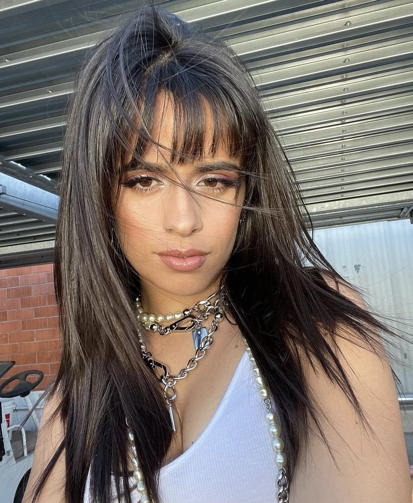bippitycabello's tweet photo. @CamilaAccess @Camila_Cabello let’s talk about this https://t.co/9LXNmnsJqa