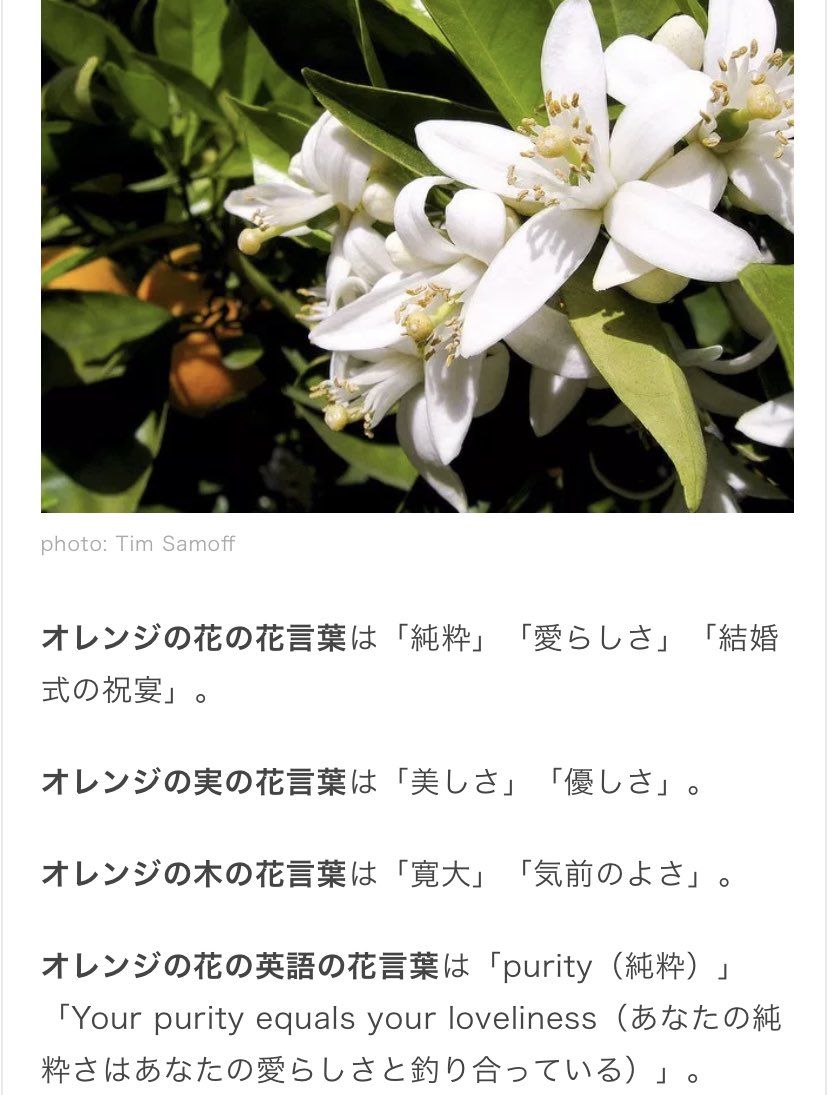 Uzivatel 雷電 ゼラオラ Na Twitteru オレンジもそのままだな 純粋な心の持ち主で優しいし寛大で気前がいいだよな